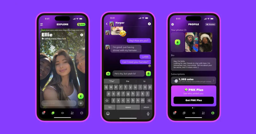 Screenshots from the PNK app.